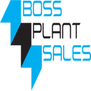 (c) Bossplantsales.co.uk