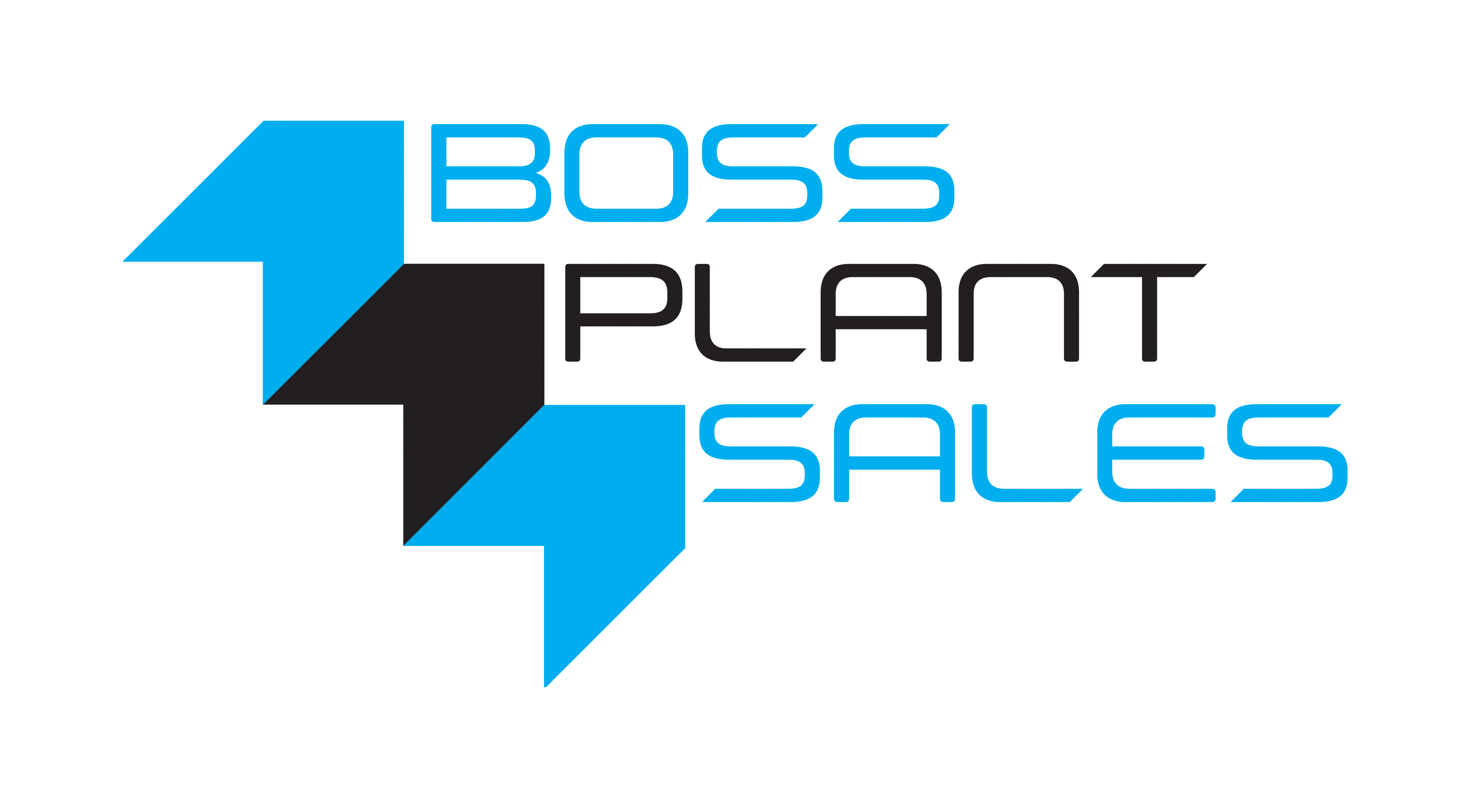 visuel ledningsfri niveau MARKET LEADING CONSTRUCTION PLANT - Boss Plant Sales