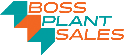 Boss Plant Sales